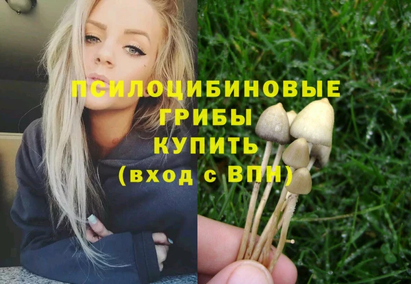 дмт Алексин