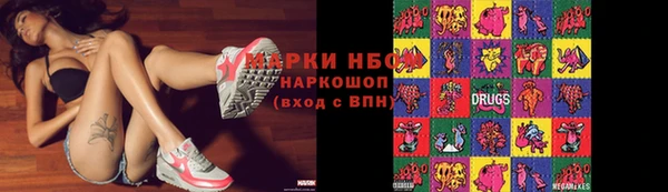 гашик Аркадак